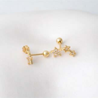 Eternal Way Earrings